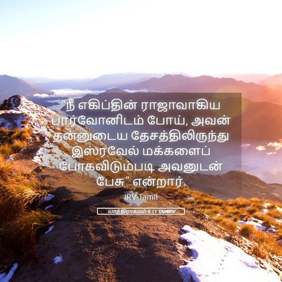 Picture 05 - யாத்திராகமம் 6:11 TAMIRV - “நீ எகிப்தின் - Bible Verse Picture
