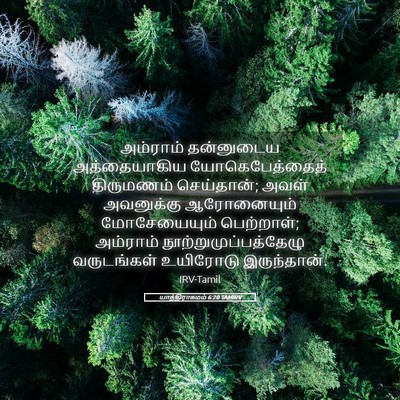 Picture 05 - யாத்திராகமம் 6:20 TAMIRV - அம்ராம் தன்னுடைய - Bible Verse Picture