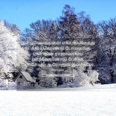 Picture 05 - யாத்திராகமம் 6:27 TAMIRV - இஸ்ரவேலர்களை - Bible Verse Picture