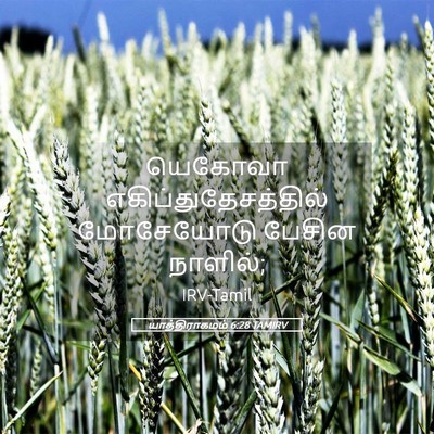 Picture 05 - யாத்திராகமம் 6:28 TAMIRV - யெகோவா - Bible Verse Picture