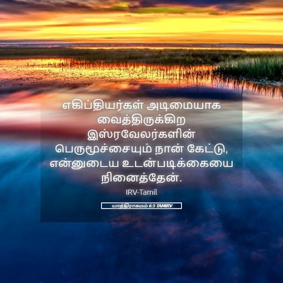 Picture 05 - யாத்திராகமம் 6:5 TAMIRV - எகிப்தியர்கள் - Bible Verse Picture