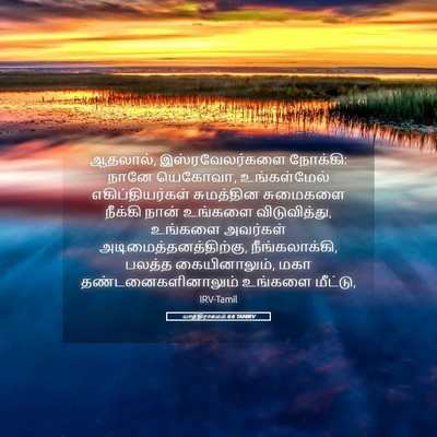 Picture 05 - யாத்திராகமம் 6:6 TAMIRV - ஆதலால், - Bible Verse Picture