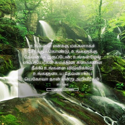 Picture 05 - யாத்திராகமம் 6:7 TAMIRV - உங்களை எனக்கு - Bible Verse Picture