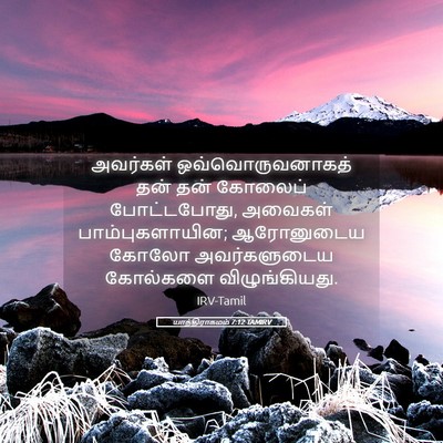 Picture 05 - யாத்திராகமம் 7:12 TAMIRV - அவர்கள் - Bible Verse Picture