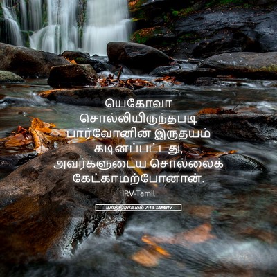 Picture 05 - யாத்திராகமம் 7:13 TAMIRV - யெகோவா - Bible Verse Picture