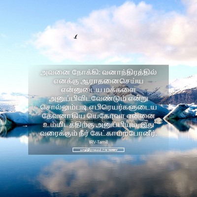 Picture 05 - யாத்திராகமம் 7:16 TAMIRV - அவனை நோக்கி: - Bible Verse Picture
