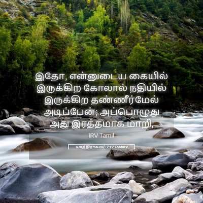 Picture 05 - யாத்திராகமம் 7:17 TAMIRV - இதோ, என்னுடைய - Bible Verse Picture