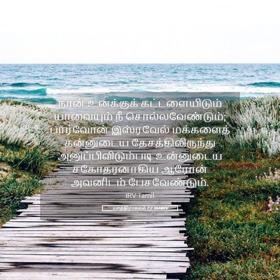 Picture 05 - யாத்திராகமம் 7:2 TAMIRV - நான் உனக்குக் - Bible Verse Picture