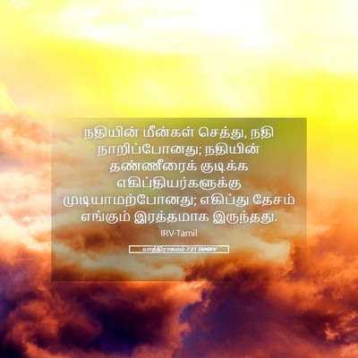 Picture 05 - யாத்திராகமம் 7:21 TAMIRV - நதியின் மீன்கள் - Bible Verse Picture