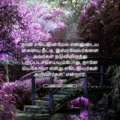 Picture 05 - யாத்திராகமம் 7:5 TAMIRV - நான் - Bible Verse Picture