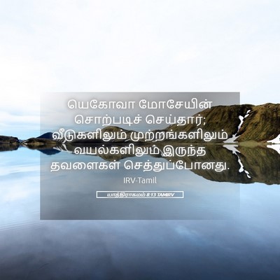 Picture 05 - யாத்திராகமம் 8:13 TAMIRV - யெகோவா மோசேயின் - Bible Verse Picture