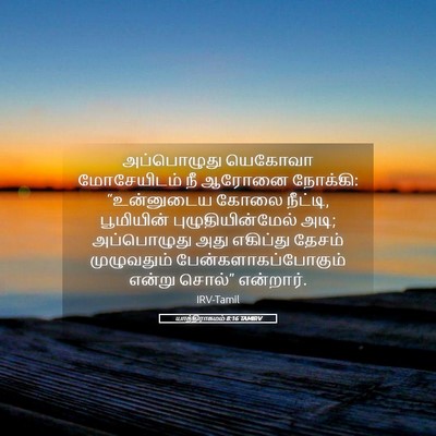 Picture 05 - யாத்திராகமம் 8:16 TAMIRV - அப்பொழுது யெகோவா - Bible Verse Picture