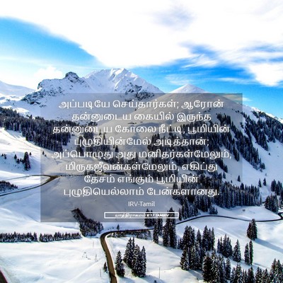 Picture 05 - யாத்திராகமம் 8:17 TAMIRV - அப்படியே - Bible Verse Picture