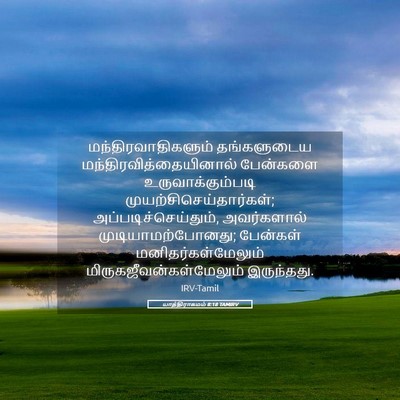 Picture 05 - யாத்திராகமம் 8:18 TAMIRV - மந்திரவாதிகளும் - Bible Verse Picture