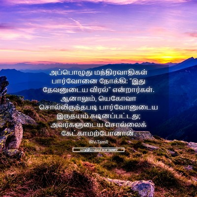 Picture 05 - யாத்திராகமம் 8:19 TAMIRV - அப்பொழுது - Bible Verse Picture