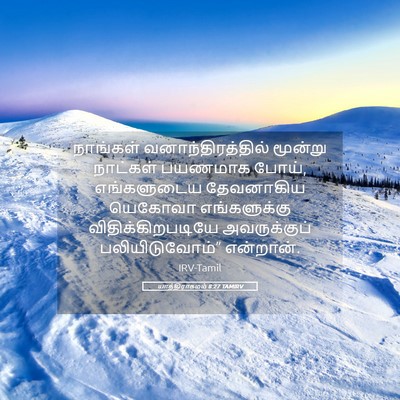 Picture 05 - யாத்திராகமம் 8:27 TAMIRV - நாங்கள் - Bible Verse Picture