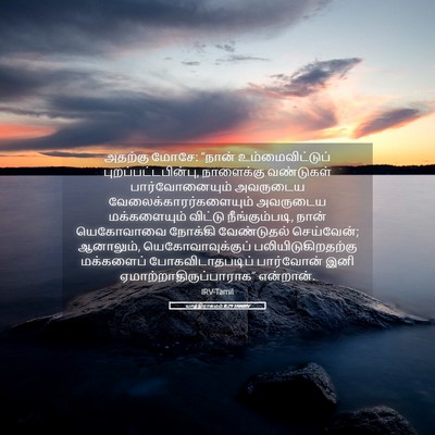 Picture 05 - யாத்திராகமம் 8:29 TAMIRV - அதற்கு மோசே: “நான் - Bible Verse Picture