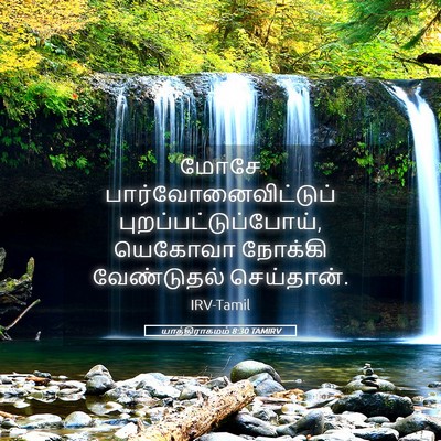 Picture 05 - யாத்திராகமம் 8:30 TAMIRV - மோசே - Bible Verse Picture
