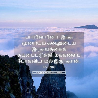 Picture 05 - யாத்திராகமம் 8:32 TAMIRV - பார்வோனோ, இந்த - Bible Verse Picture