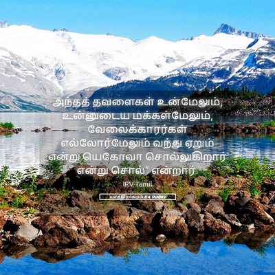 Picture 05 - யாத்திராகமம் 8:4 TAMIRV - அந்தத் தவளைகள் - Bible Verse Picture