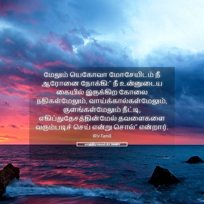 Picture 05 - யாத்திராகமம் 8:5 TAMIRV - மேலும் யெகோவா - Bible Verse Picture