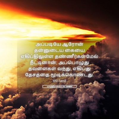 Picture 05 - யாத்திராகமம் 8:6 TAMIRV - அப்படியே ஆரோன் - Bible Verse Picture