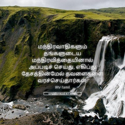 Picture 05 - யாத்திராகமம் 8:7 TAMIRV - மந்திரவாதிகளும் - Bible Verse Picture