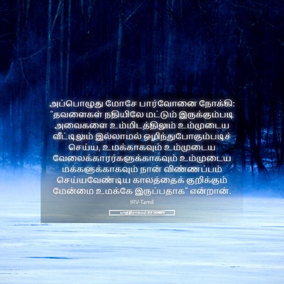 Picture 05 - யாத்திராகமம் 8:9 TAMIRV - அப்பொழுது மோசே - Bible Verse Picture