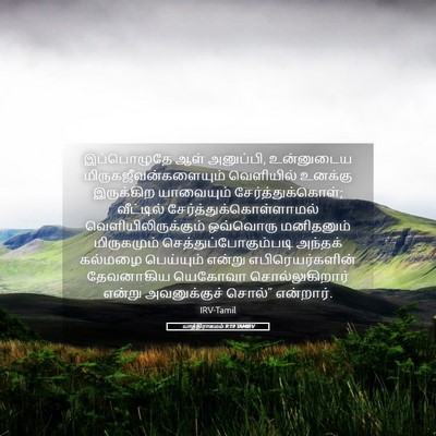 Picture 05 - யாத்திராகமம் 9:19 TAMIRV - இப்பொழுதே ஆள் - Bible Verse Picture
