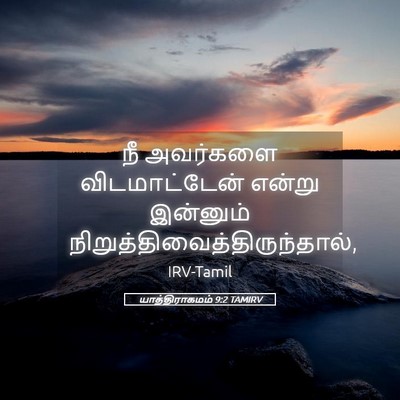 Picture 05 - யாத்திராகமம் 9:2 TAMIRV - நீ அவர்களை - Bible Verse Picture