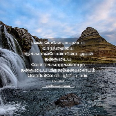 Picture 05 - யாத்திராகமம் 9:21 TAMIRV - எவன் யெகோவாவுடைய - Bible Verse Picture
