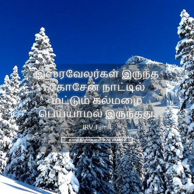 Picture 05 - யாத்திராகமம் 9:26 TAMIRV - இஸ்ரவேலர்கள் - Bible Verse Picture