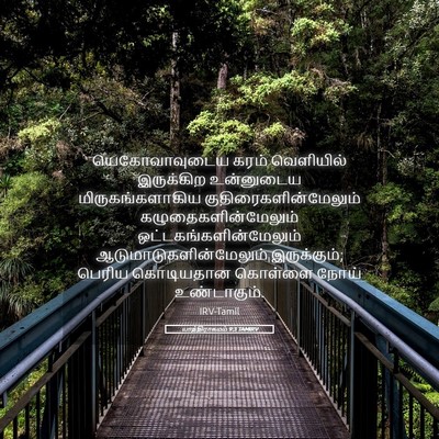 Picture 05 - யாத்திராகமம் 9:3 TAMIRV - யெகோவாவுடைய கரம் - Bible Verse Picture