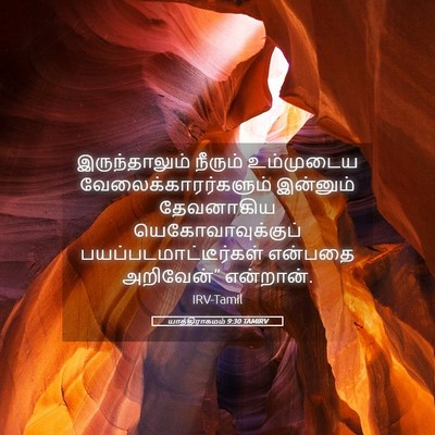 Picture 05 - யாத்திராகமம் 9:30 TAMIRV - இருந்தாலும் - Bible Verse Picture