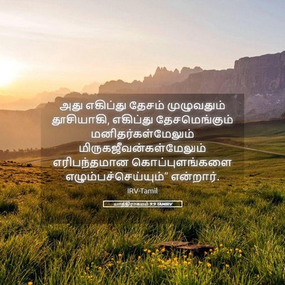 Picture 05 - யாத்திராகமம் 9:9 TAMIRV - அது எகிப்து தேசம் - Bible Verse Picture