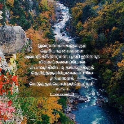 Picture 05 - யூதா 1:10 TAMIRV - இவர்கள் - Bible Verse Picture