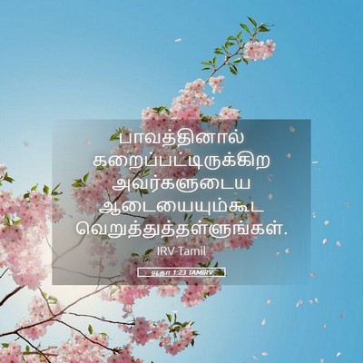 Picture 05 - யூதா 1:23 TAMIRV - பாவத்தினால் - Bible Verse Picture