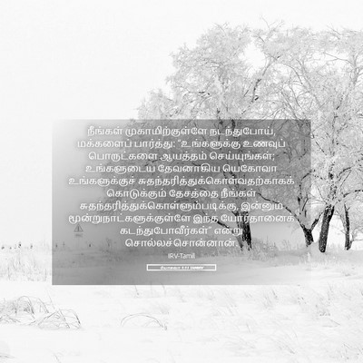 Picture 05 - யோசுவா 1:11 TAMIRV - நீங்கள் - Bible Verse Picture