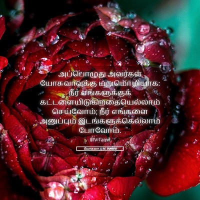 Picture 05 - யோசுவா 1:16 TAMIRV - அப்பொழுது அவர்கள் - Bible Verse Picture