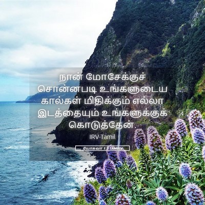 Picture 05 - யோசுவா 1:3 TAMIRV - நான் மோசேக்குச் - Bible Verse Picture
