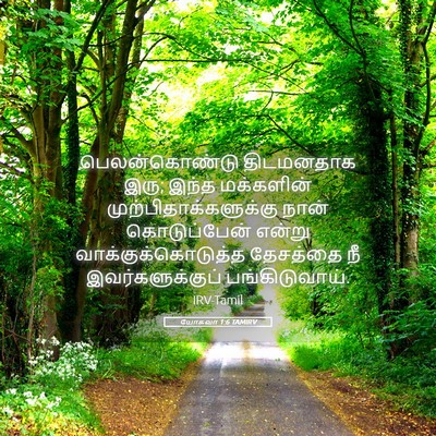 Picture 05 - யோசுவா 1:6 TAMIRV - பெலன்கொண்டு - Bible Verse Picture