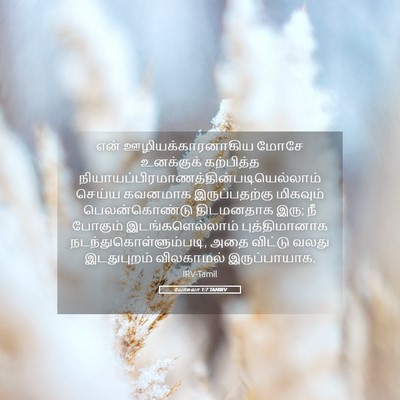 Picture 05 - யோசுவா 1:7 TAMIRV - என் - Bible Verse Picture