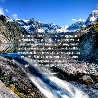 Picture 05 - யோசுவா 10:19 TAMIRV - நீங்களோ - Bible Verse Picture