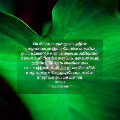 Picture 05 - யோசுவா 10:30 TAMIRV - யெகோவா அதையும் - Bible Verse Picture