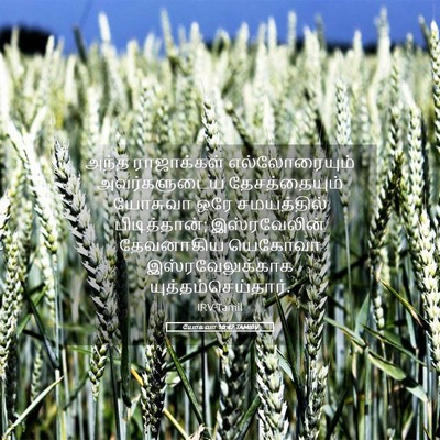 Picture 05 - யோசுவா 10:42 TAMIRV - அந்த ராஜாக்கள் - Bible Verse Picture
