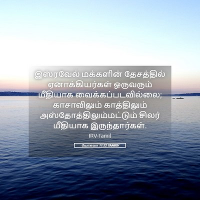 Picture 05 - யோசுவா 11:22 TAMIRV - இஸ்ரவேல் மக்களின் - Bible Verse Picture