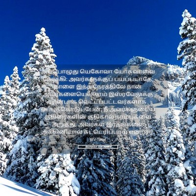 Picture 05 - யோசுவா 11:6 TAMIRV - அப்பொழுது யெகோவா - Bible Verse Picture