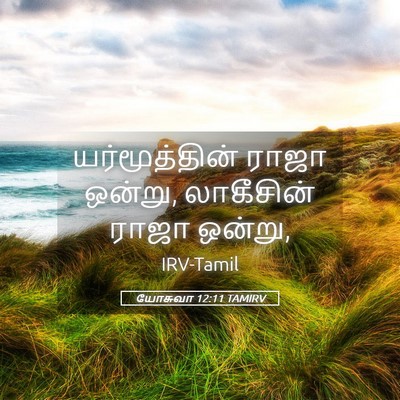 Picture 05 - யோசுவா 12:11 TAMIRV - யர்மூத்தின் ராஜா - Bible Verse Picture