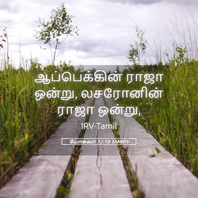 Picture 05 - யோசுவா 12:18 TAMIRV - ஆப்பெக்கின் ராஜா - Bible Verse Picture