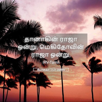 Picture 05 - யோசுவா 12:21 TAMIRV - தானாகின் ராஜா - Bible Verse Picture